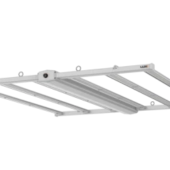 Luxx Lighting Luxx 645w LED Pro 120-277v