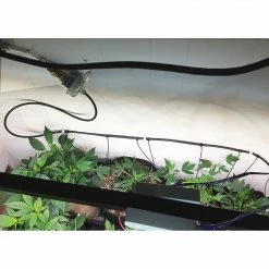 Blumat Basic Pump System