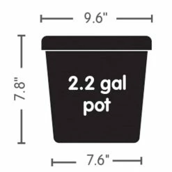 AutoPot | 8-Pot Tray Watering System
