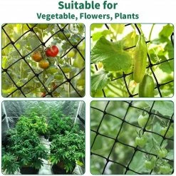 Planting & Watering AC Infinity | Grow Tent Trellis Flex Netting | 4' X 4'