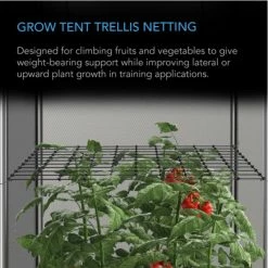Budget ๐ AC Infinity | Grow Tent Trellis Flex Netting | 3' X 3' ๐ 12 AC Infinity | Grow Tent Trellis Flex Netting | 3' X 3'