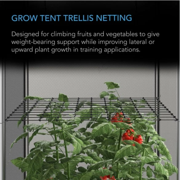 Budget ๐ AC Infinity | Grow Tent Trellis Flex Netting | 3' X 3' ๐ 3 AC Infinity | Grow Tent Trellis Flex Netting | 3' X 3'