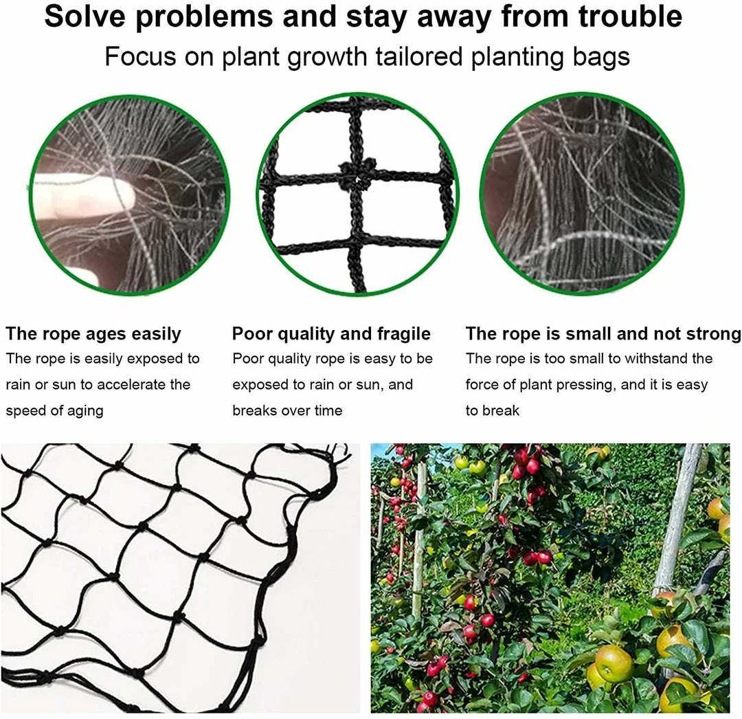 Budget ๐ AC Infinity | Grow Tent Trellis Flex Netting | 3' X 3' ๐ 6 AC Infinity | Grow Tent Trellis Flex Netting | 3' X 3'