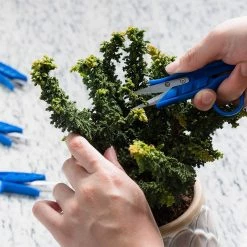 Happy Hydro Mini Clippers - 10 Pack Of Trimming Scissors For Small Plants & Bonsai Pruning