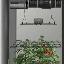 Planting & Watering AC Infinity | Grow Tent Trellis Flex Netting | 4' X 4'