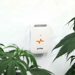 Outlet ๐ Pulse ONE Environmental Monitor - Monitor Your Grow Anywhere At Anytime ๐ 14 Pulse ONE Environmental Monitor - Monitor Your Grow Anywhere At Anytime