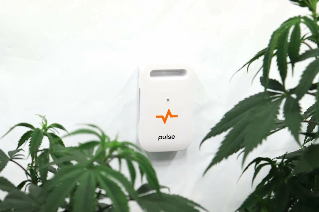 Outlet ๐ Pulse ONE Environmental Monitor - Monitor Your Grow Anywhere At Anytime ๐ 6 Pulse ONE Environmental Monitor - Monitor Your Grow Anywhere At Anytime