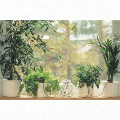 Blumat Classic Automatic Watering Stakes (3-Pack) Blumat Watering Systems