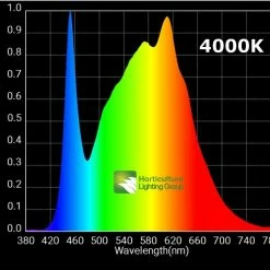 Happy Hydro Vegetation Stage Kits Beginner Complete Veg Grow Tent Kit | HLG 65 LED | 2’ X 2’