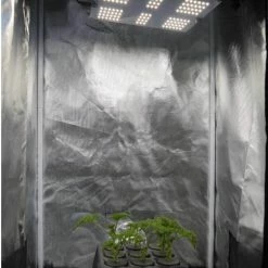 Happy Hydro Vegetation Stage Kits Beginner Complete Veg Grow Tent Kit | 2x HLG 65 LED | 2’ X 3’