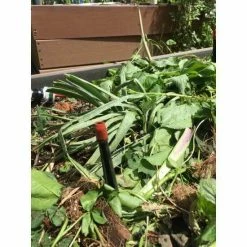 Blumat Locator Stakes (Pack Of 25) Planting & Watering