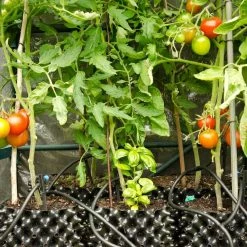 Air-Pot | Container #5 | 3.3 Gal/12.3L | Green Base Planting & Watering