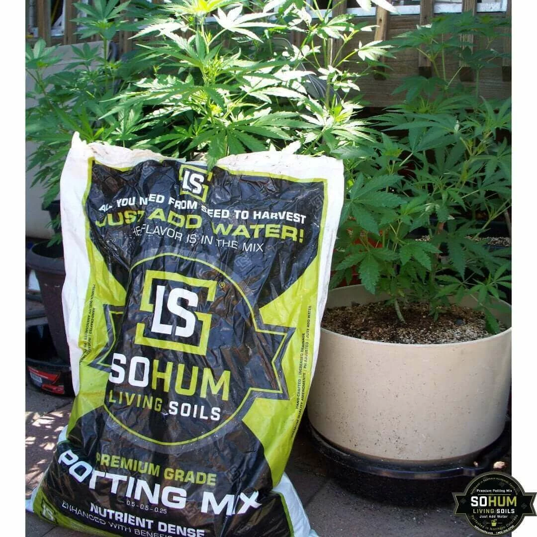 Best deal ๐ฅ Happy Hydro Beginner Grow Tent Kit | Without The Light | 4โ X 8โ ๐ 4 Happy Hydro Beginner Grow Tent Kit | Without The Light | 4โ X 8โ