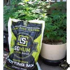 Happy Hydro Grow Tent Kits Beginner Complete Grow Tent Kit | HLG 100 Rspec LED | 2’ X 2’