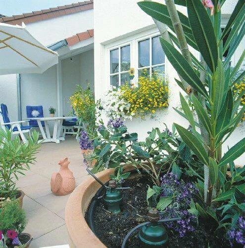 Hot Sale ๐ Blumat Planting & Watering Potted Plant Watering Set For 4 To 6 Gallon Pots ๐ 4 Blumat Planting & Watering Potted Plant Watering Set For 4 To 6 Gallon Pots