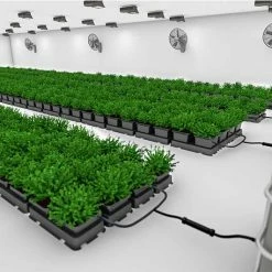 AutoPot Easy2Grow 2 Plant System Planting & Watering