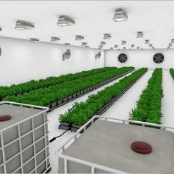 AutoPot Planting & Watering Easy2grow 24