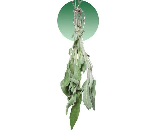 Brand new ๐ Grow!T STACK!T Hanging Dry Rack W/28 Clips Harvest & Essentials โ 2 Grow!T STACK!T Hanging Dry Rack W/28 Clips Harvest & Essentials