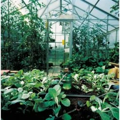 Blumat Planting & Watering Potted Plant Watering Set For 4 To 6 Gallon Pots