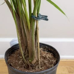 Planting & Watering Happy Hydro Spring-Loaded Plant Clips