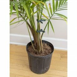 Planting & Watering Happy Hydro Spring-Loaded Plant Clips