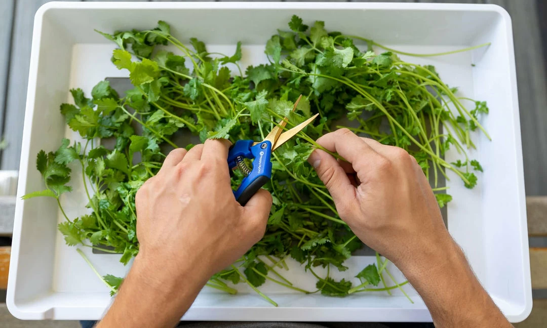 Outlet 🎁 Happy Hydro | Trimming & Drying Kit | 4-Tier Drying Rack Bundle | Trimming Scissors 💯 4 Happy Hydro | Trimming & Drying Kit | 4-Tier Drying Rack Bundle | Trimming Scissors