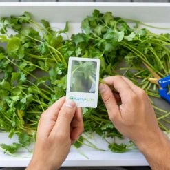Outlet 🎁 Happy Hydro | Trimming & Drying Kit | 4-Tier Drying Rack Bundle | Trimming Scissors 💯 9 Happy Hydro | Trimming & Drying Kit | 4-Tier Drying Rack Bundle | Trimming Scissors