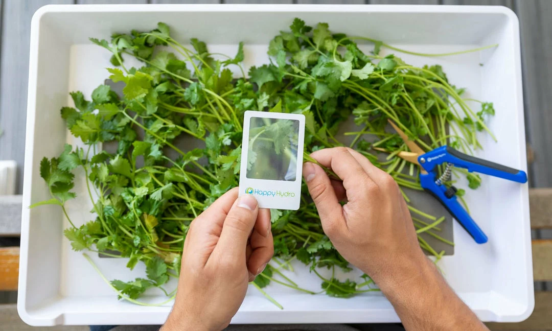 Outlet 🎁 Happy Hydro | Trimming & Drying Kit | 4-Tier Drying Rack Bundle | Trimming Scissors 💯 5 Happy Hydro | Trimming & Drying Kit | 4-Tier Drying Rack Bundle | Trimming Scissors