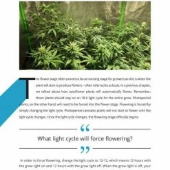 Happy Hydro Beginner Grow Tent Kit | Without The Light | 10’ X 10’