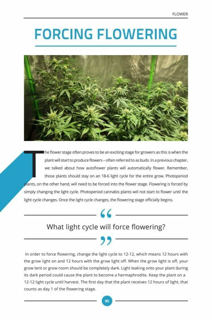 Wholesale ๐ Happy Hydro Beginner Complete Coco Grow Tent Kit | Spider Farmer LED | 2โ X 3โ โค๏ธ 13 Happy Hydro Beginner Complete Coco Grow Tent Kit | Spider Farmer LED | 2โ X 3โ