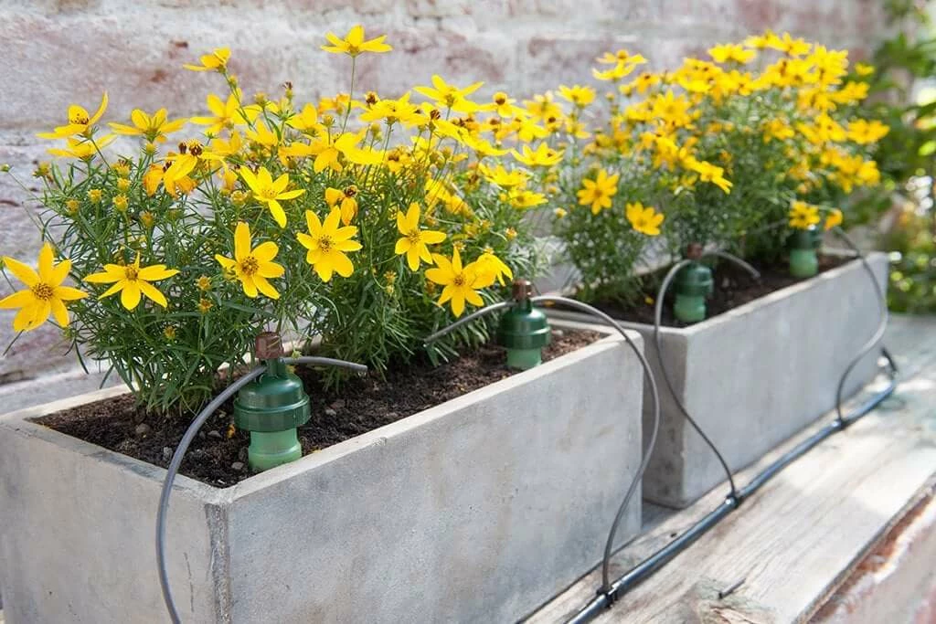 Hot Sale ๐ Blumat Planting & Watering Potted Plant Watering Set For 4 To 6 Gallon Pots ๐ 3 Blumat Planting & Watering Potted Plant Watering Set For 4 To 6 Gallon Pots